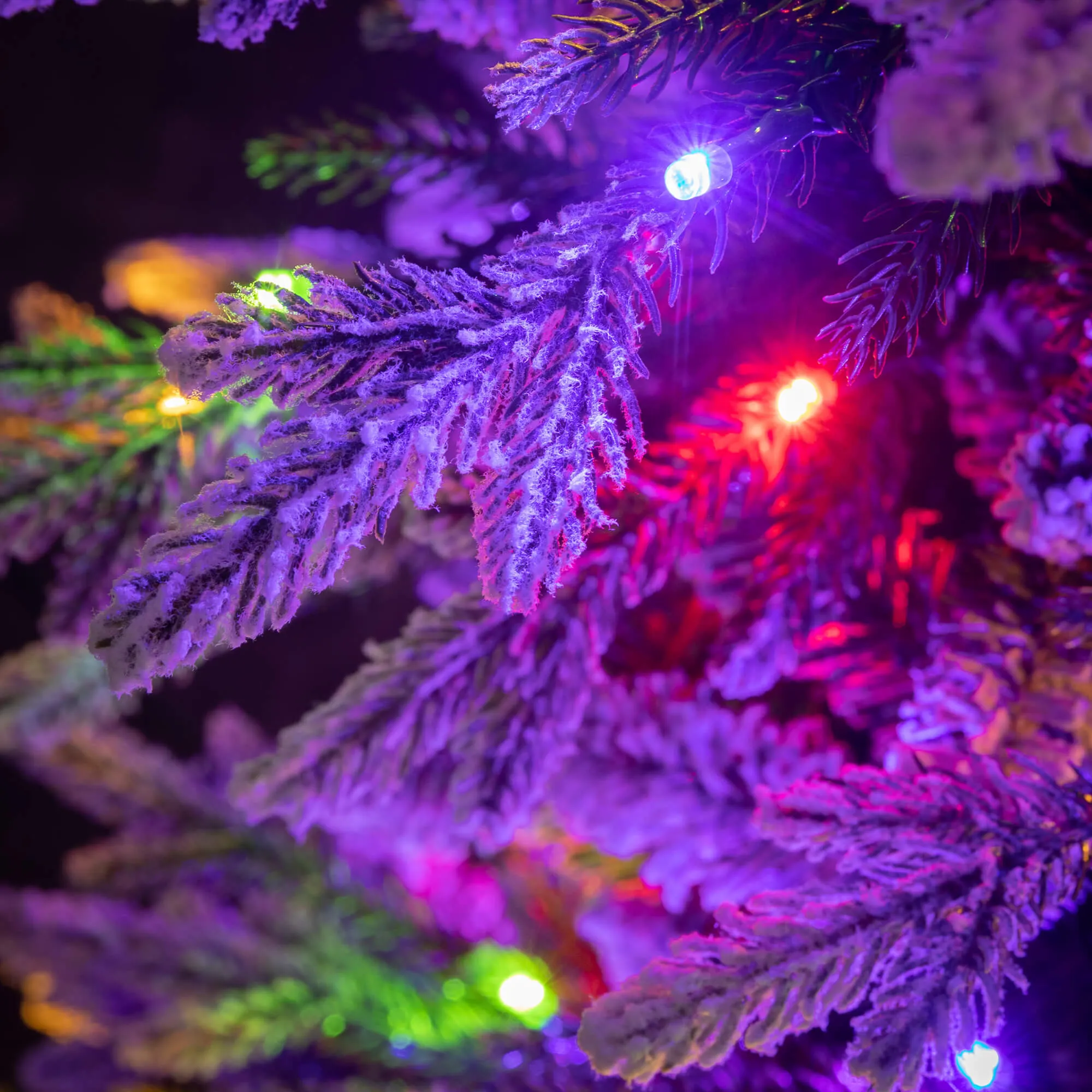 7' Potted Lit Snowy Pine Tree