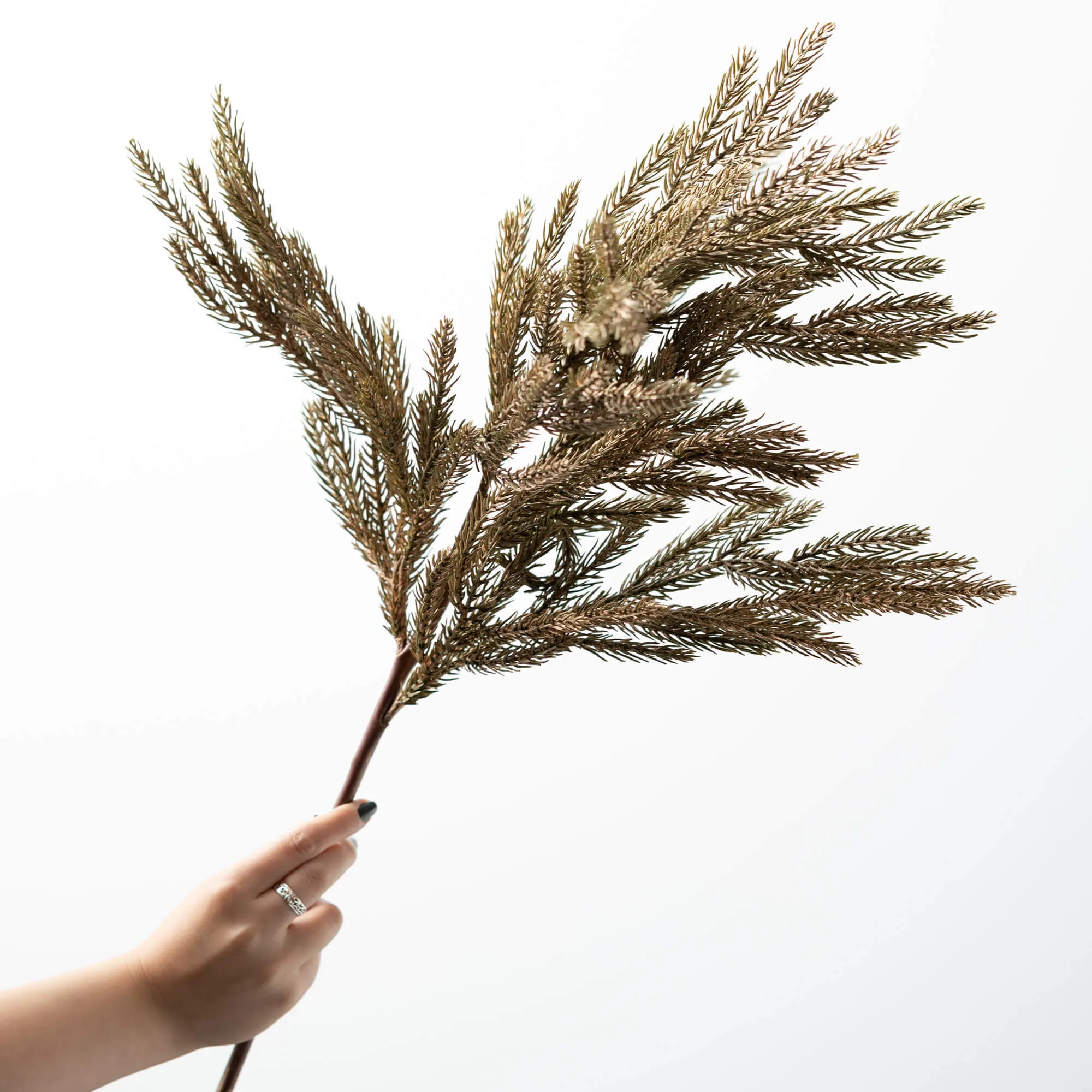 Gold Pine Spray