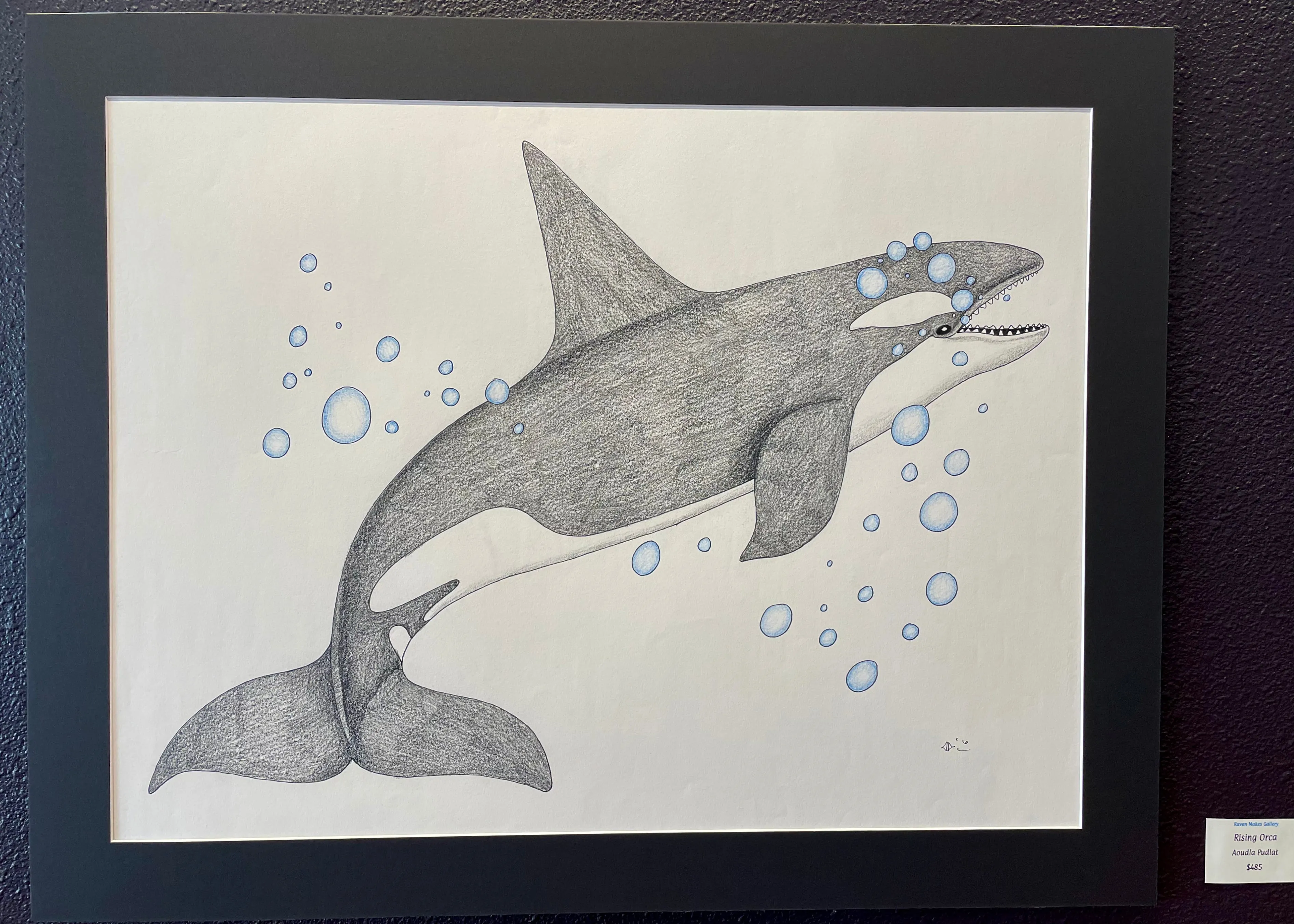 Rising Orca, by Aoudla Pudlat